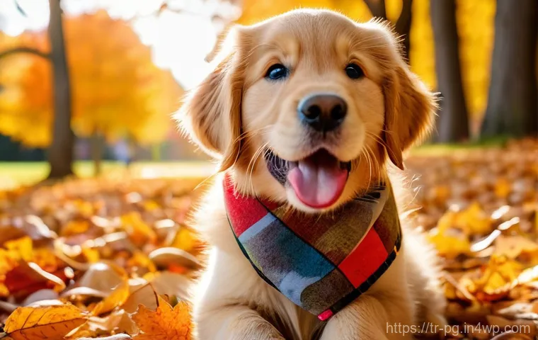 BB 세일즈 프로세스 개선을 위한 데이터 분석 활용법 - A close-up portrait of a cheerful elderly man (around 70-75 years old) happily knitting a scarf. He ... BB 세일즈 프로세스 개선을 위한 데이터 분석 활용법 - A close-up portrait of a cheerful elderly man (around 70-75 years old) happily knitting a scarf. He ...